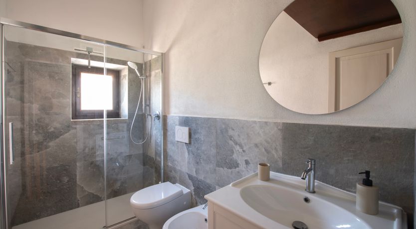 Photo of Sunlit Leaves