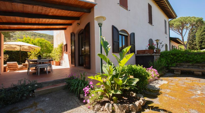 Photo of Sunlit Leaves