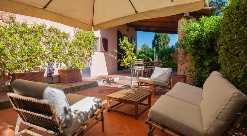 Photo of Sunlit Leaves