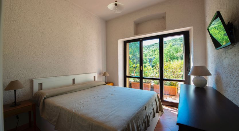 Photo of Sunlit Leaves