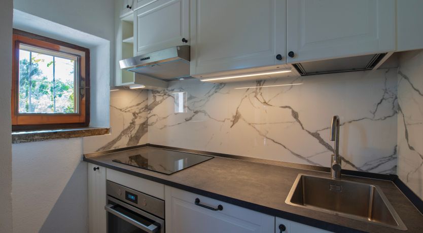 Photo of Sunlit Leaves