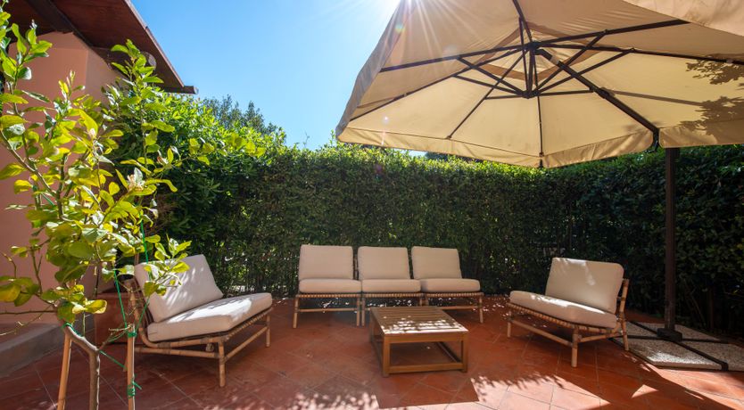 Photo of Sunlit Leaves