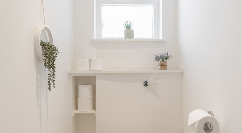 Photo of Queen's Delight