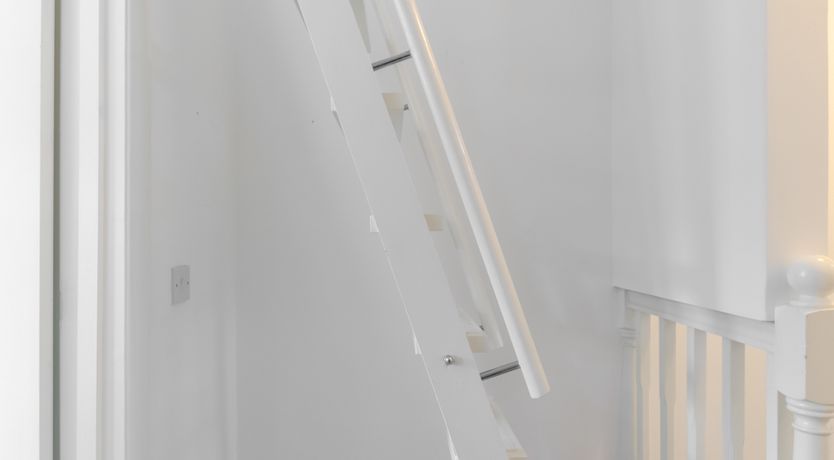 Photo of Queen's Delight