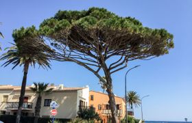 Photo of les-embruns-apartment-7