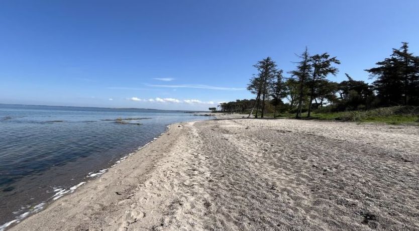 Photo of "Hjalmine" - 225m from the sea