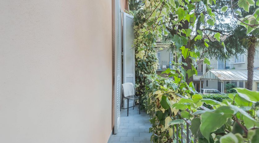 Photo of Topaz & Twilight