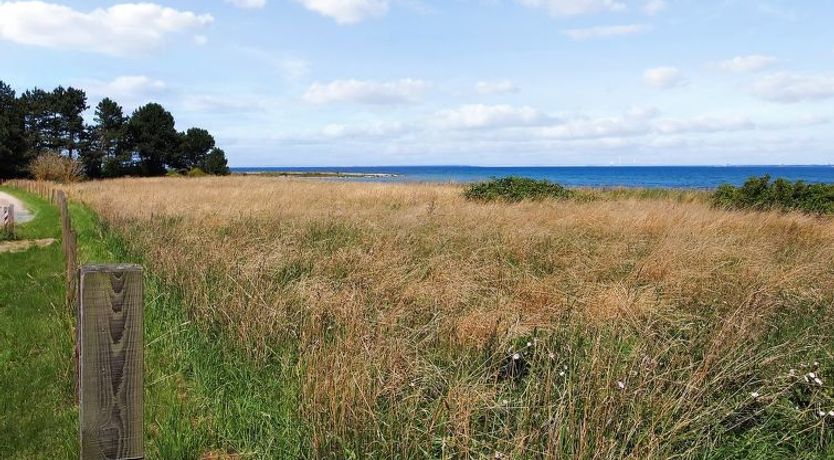 Photo of "Meeno" - 200m from the sea