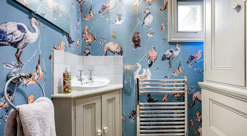 Photo of The Blue Velvet