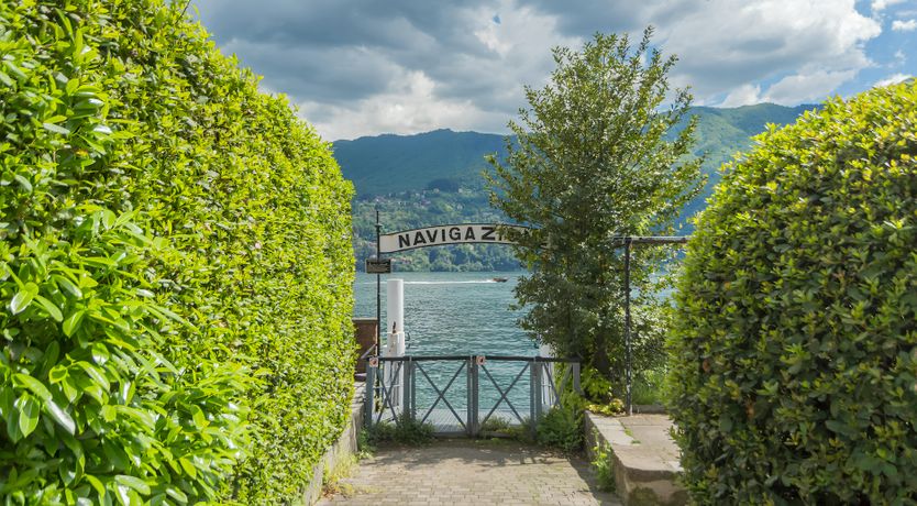 Photo of Carate Daze