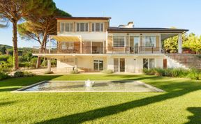 Photo of The Old Cherry Tree