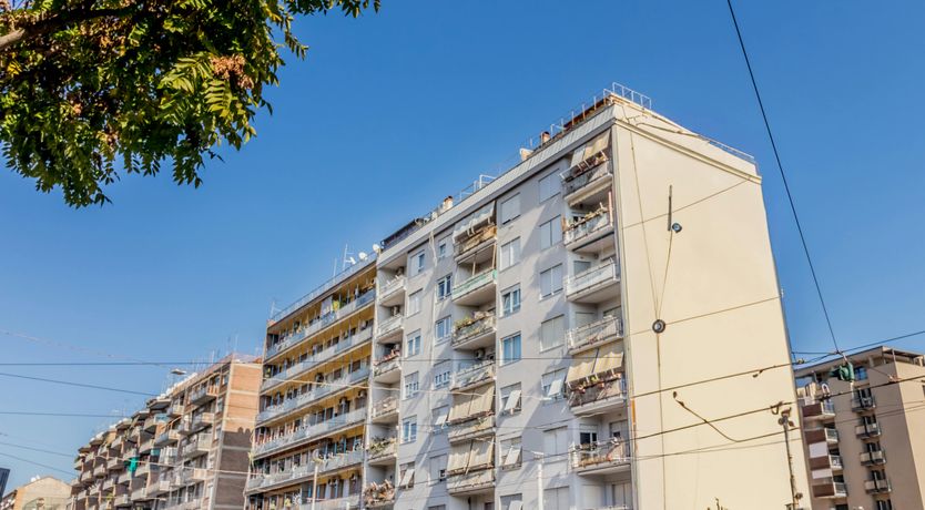 Photo of Arancione Vivido