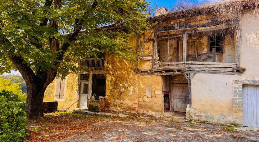 Photo of The Truffle Orchard