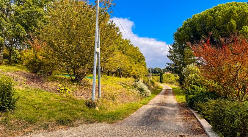 Photo of The Truffle Orchard