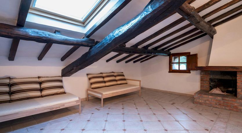 Photo of Magnolias in Bloom