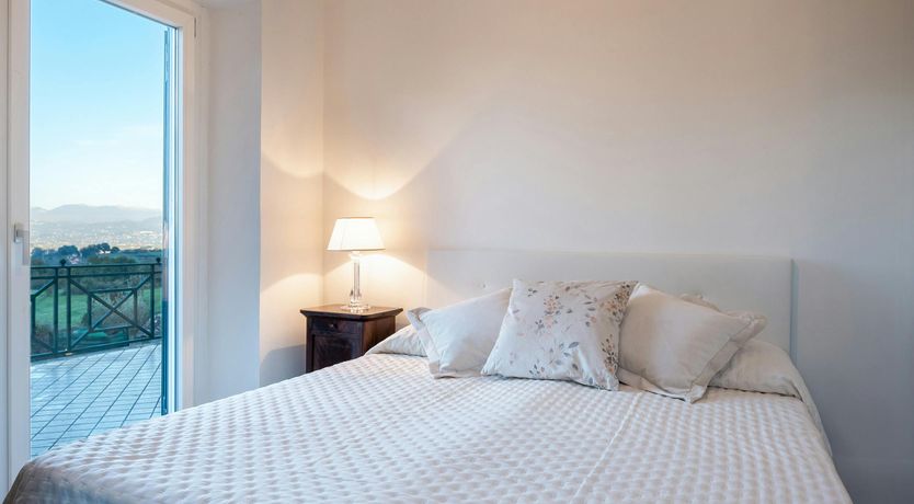 Photo of Magnolias in Bloom