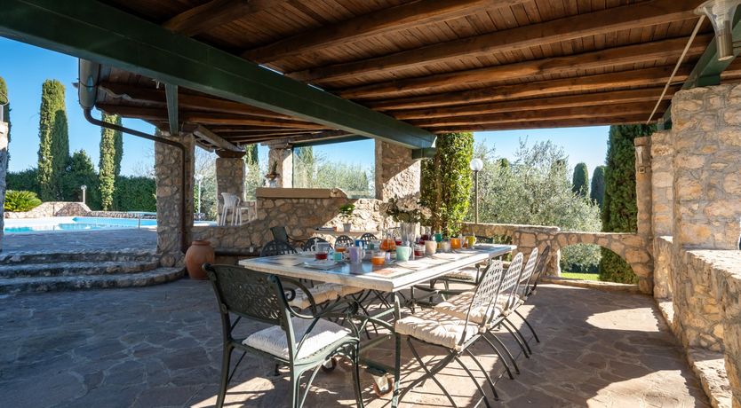 Photo of Magnolias in Bloom