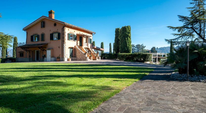 Photo of Magnolias in Bloom