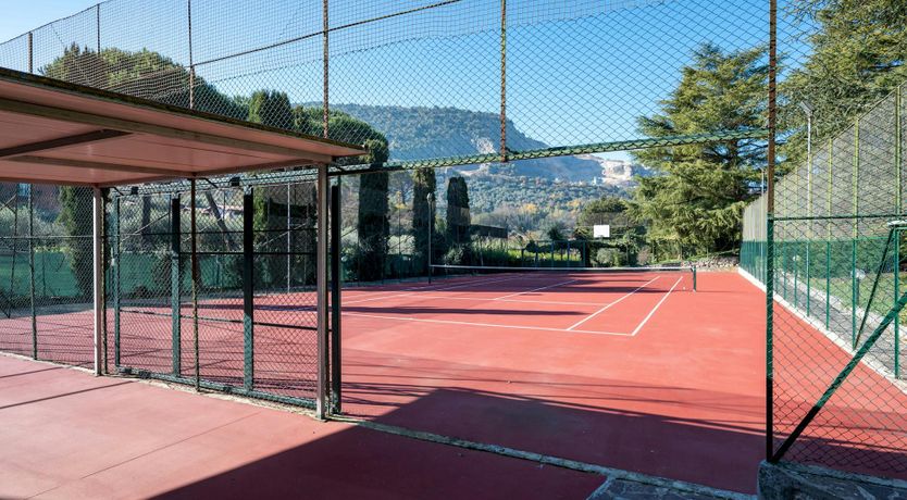 Photo of Magnolias in Bloom