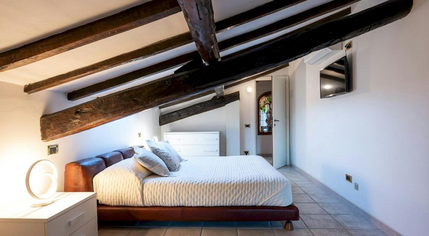 Photo of Magnolias in Bloom