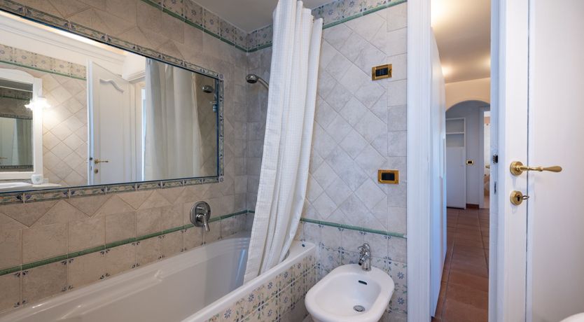 Photo of Magnolias in Bloom