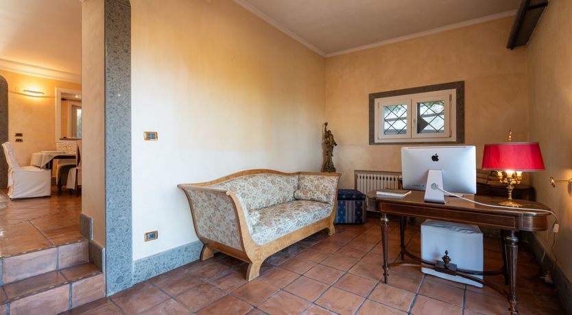 Photo of Magnolias in Bloom