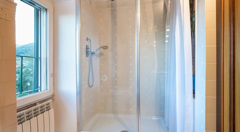 Photo of Magnolias in Bloom