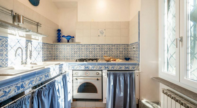 Photo of Magnolias in Bloom