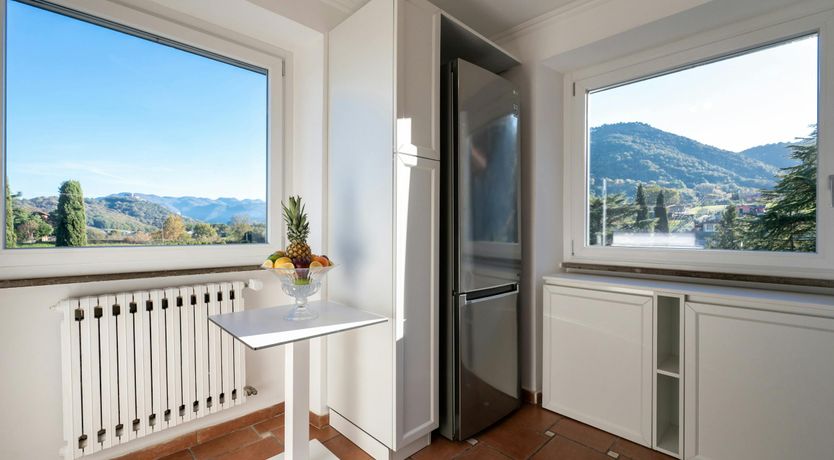 Photo of Magnolias in Bloom