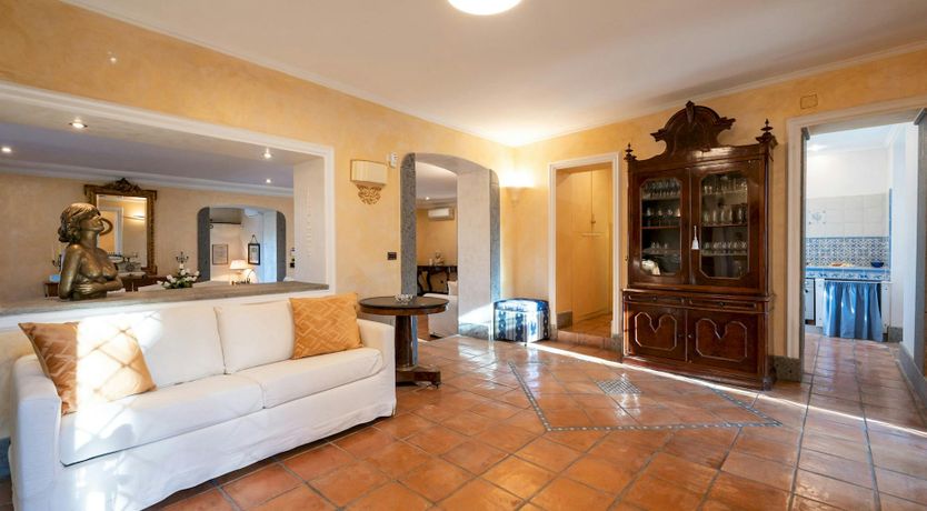 Photo of Magnolias in Bloom