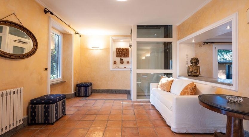 Photo of Magnolias in Bloom