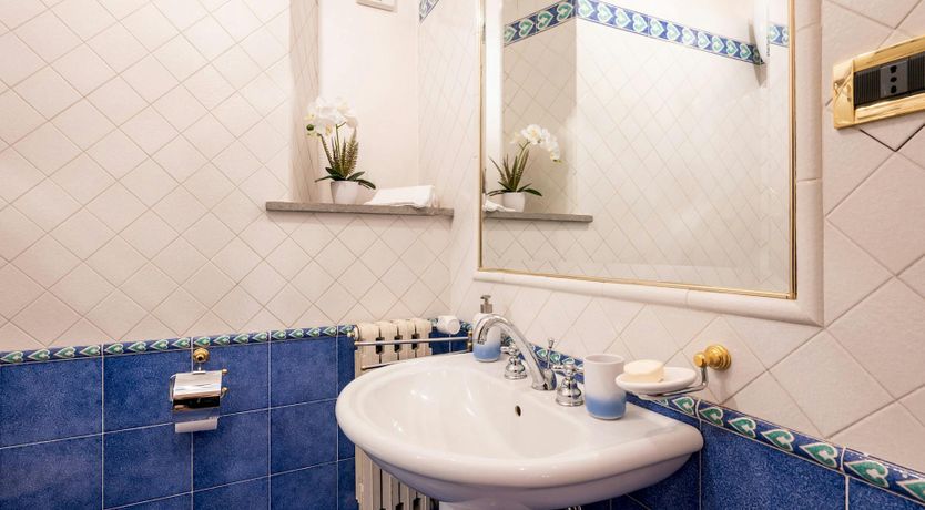 Photo of Magnolias in Bloom