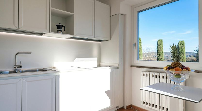 Photo of Magnolias in Bloom