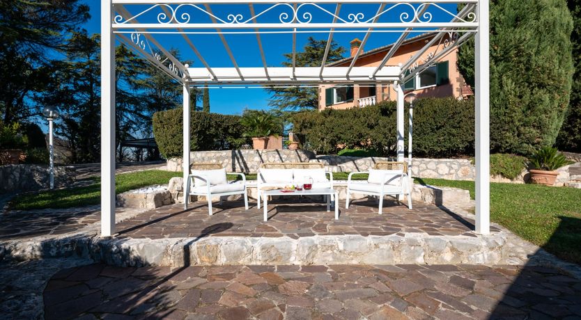 Photo of Magnolias in Bloom