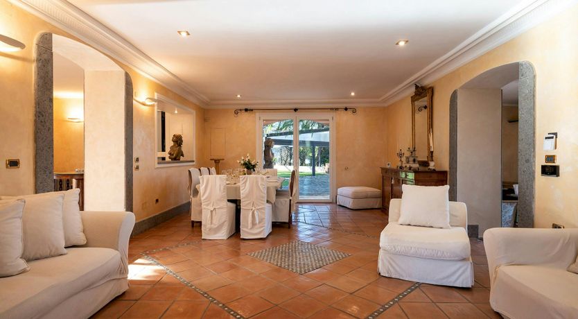 Photo of Magnolias in Bloom