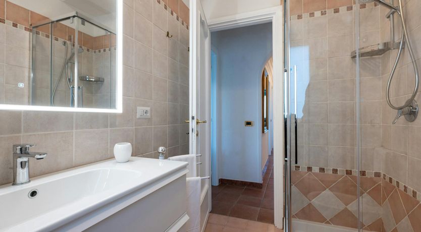 Photo of Magnolias in Bloom