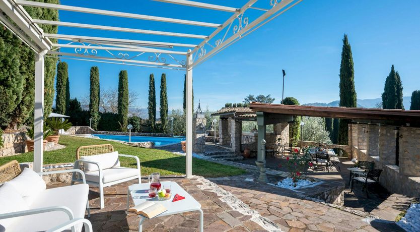 Photo of Magnolias in Bloom