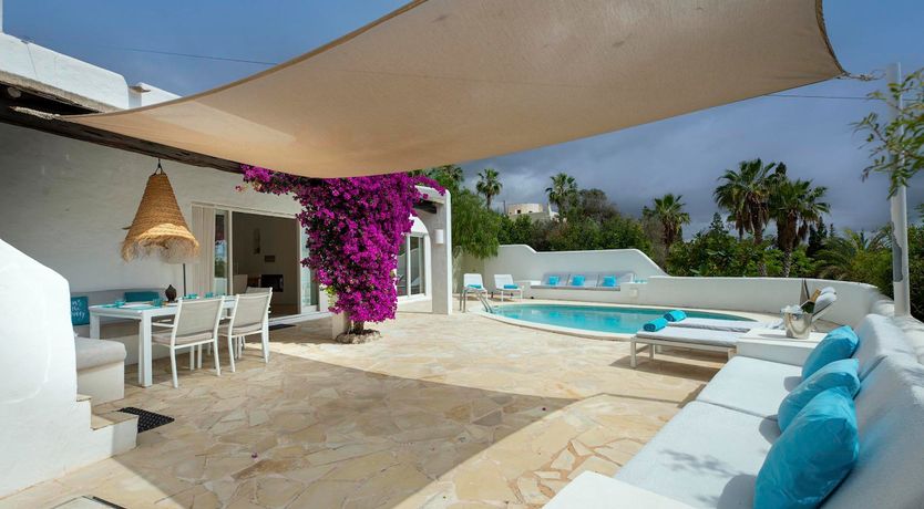 Photo of Bougainvillea Heaven