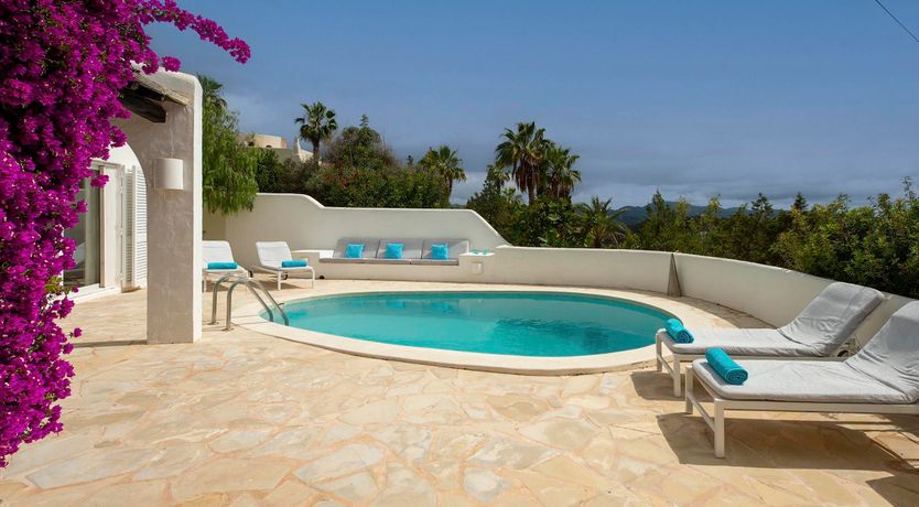 Photo of Bougainvillea Heaven