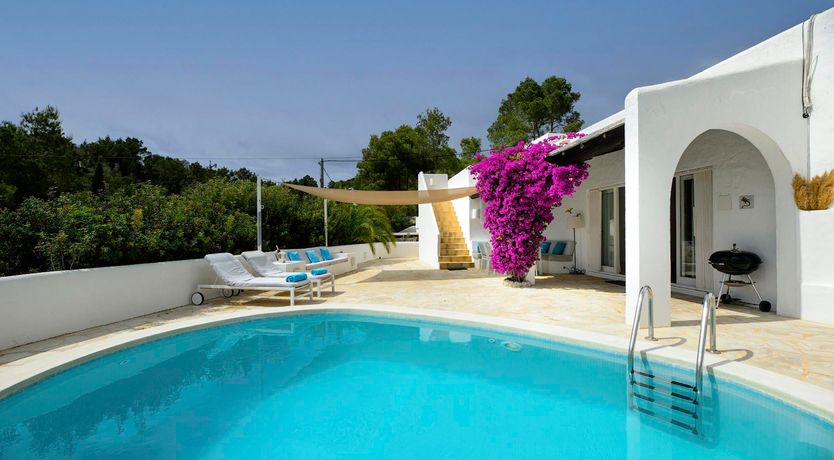 Photo of Bougainvillea Heaven