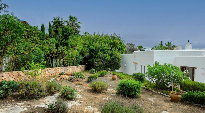 Photo of Bougainvillea Heaven