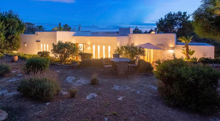 Photo of Bougainvillea Heaven