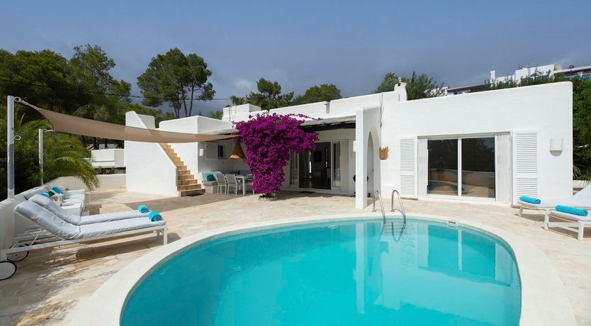 Photo of Bougainvillea Heaven