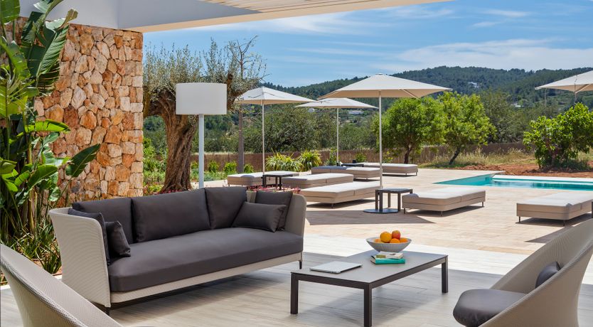 Photo of Alabaster Glimmer