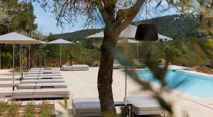 Photo of Alabaster Glimmer