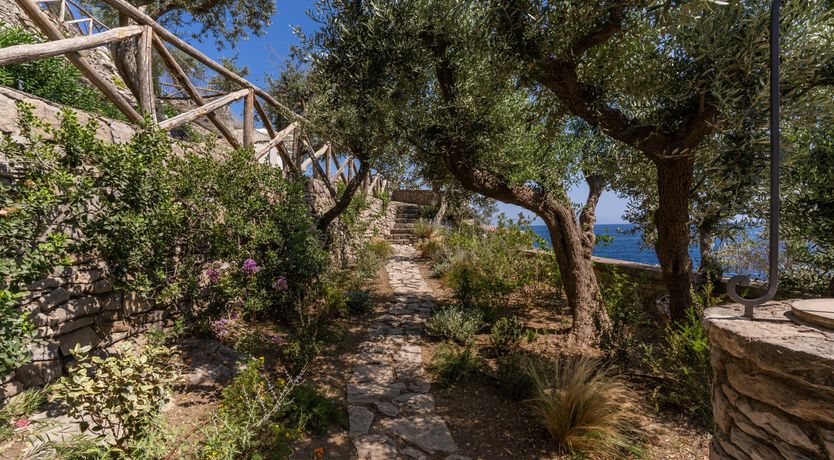 Photo of Limoncello Bliss