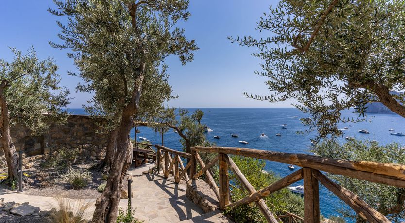 Photo of Limoncello Bliss