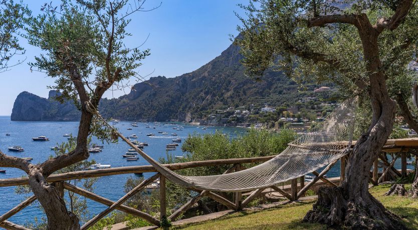 Photo of Limoncello Bliss