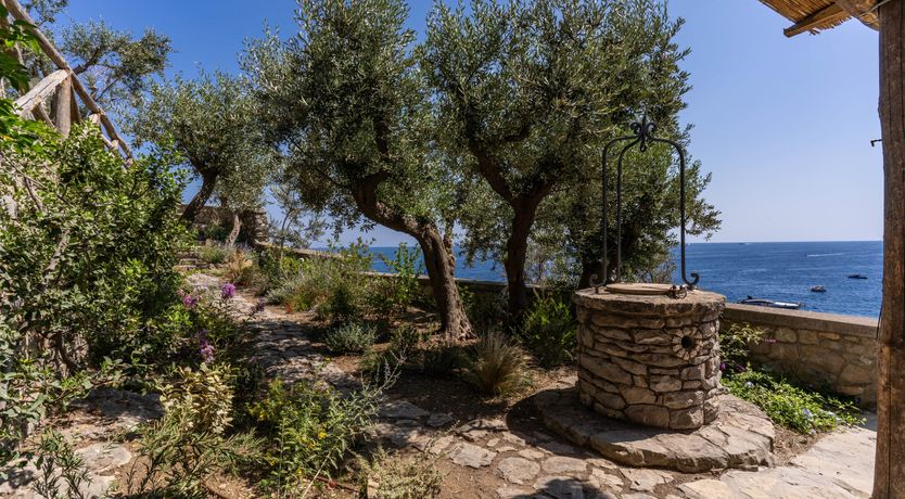 Photo of Limoncello Bliss