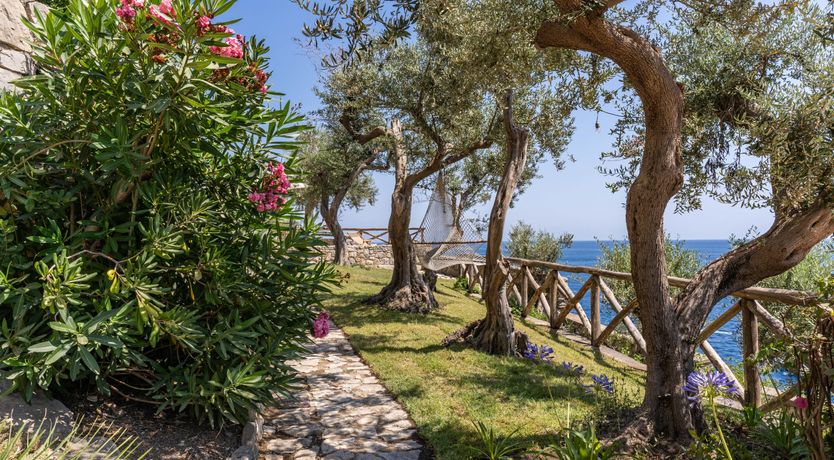 Photo of Limoncello Bliss